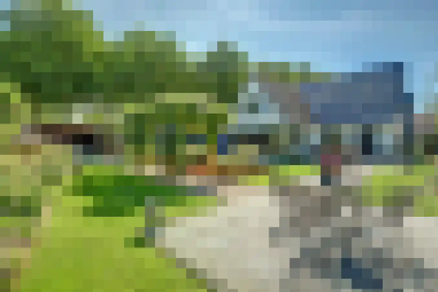 Pauwhof 3 Heinkenszand thumbnail 47
