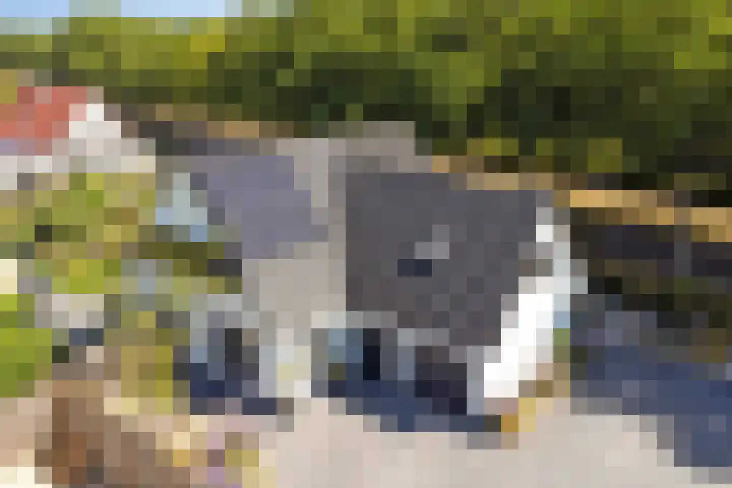 Pauwhof 3 Heinkenszand thumbnail 54
