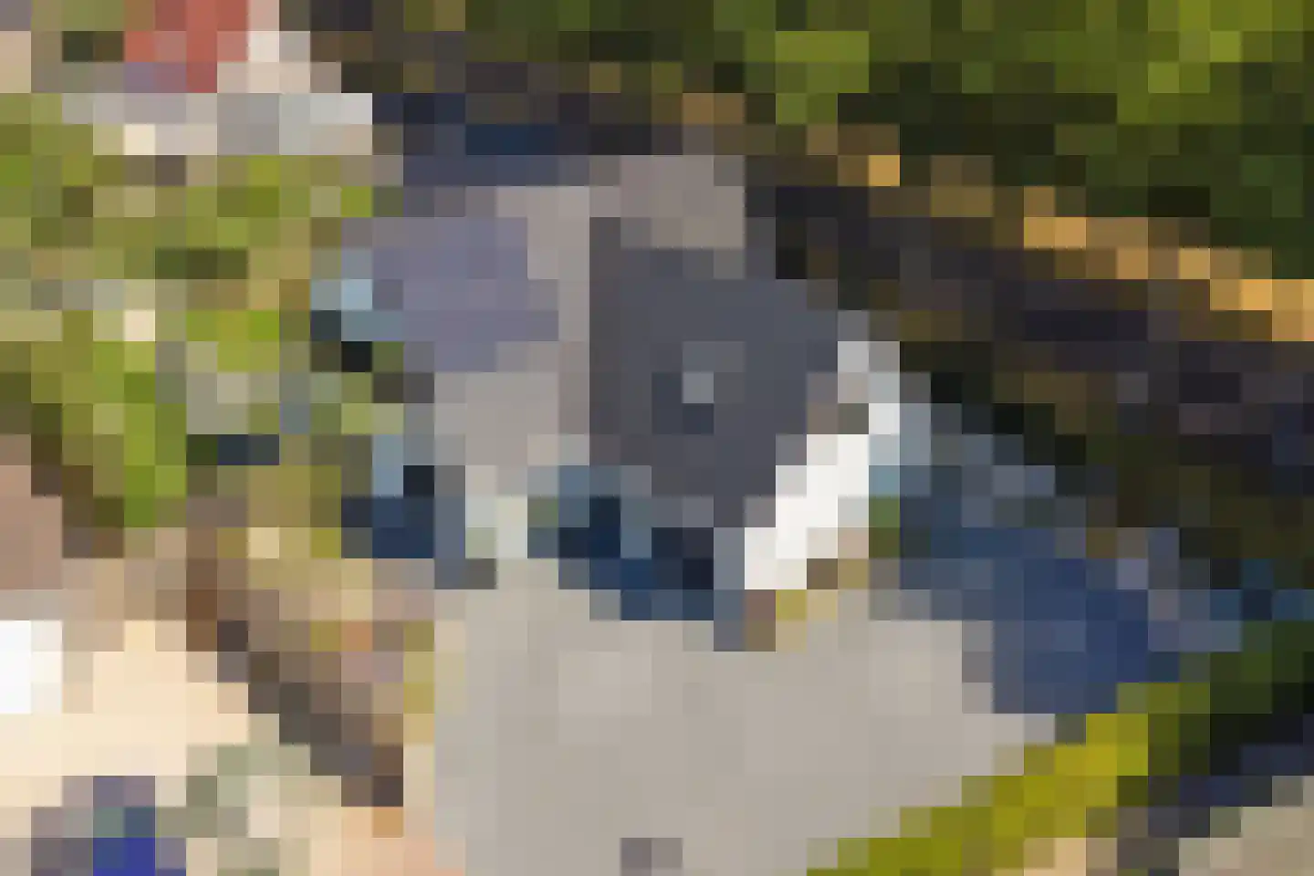 Pauwhof 3 Heinkenszand thumbnail 55