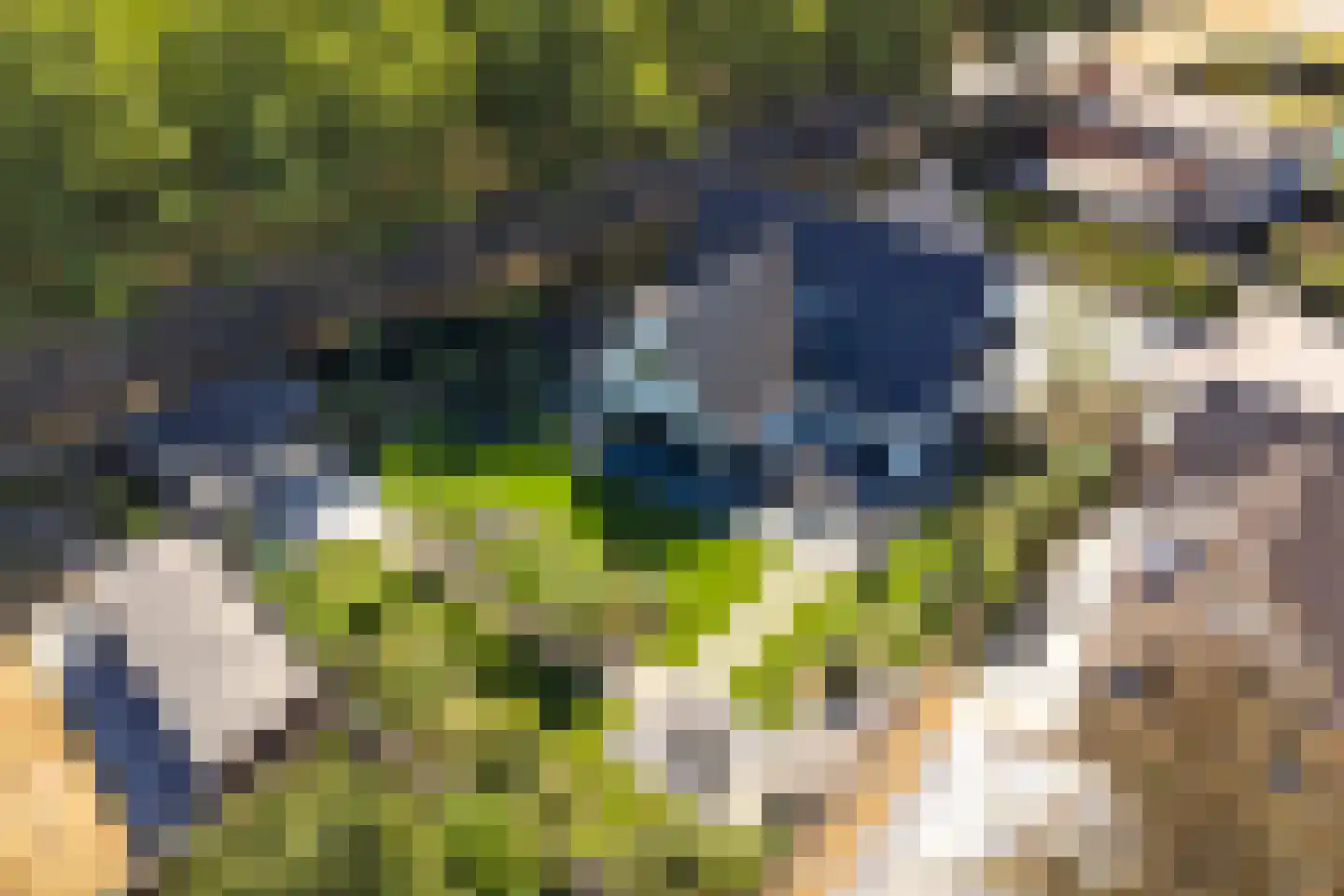 Pauwhof 3 Heinkenszand thumbnail 56