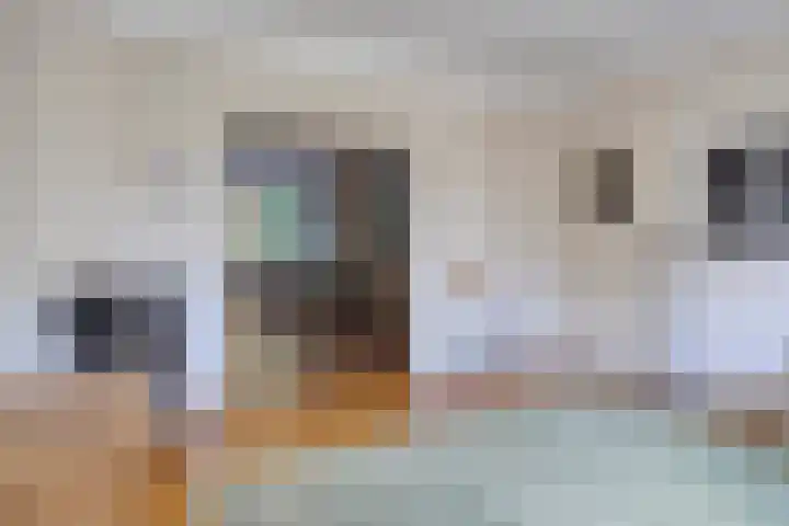 Pauwlaan 22 Eindhoven thumbnail 10