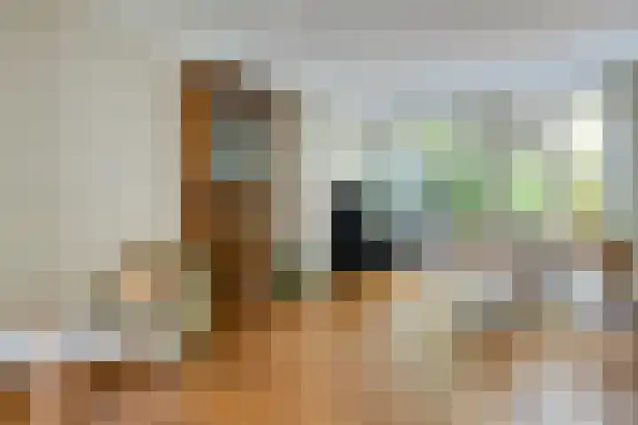 Pauwlaan 22 Eindhoven thumbnail 16