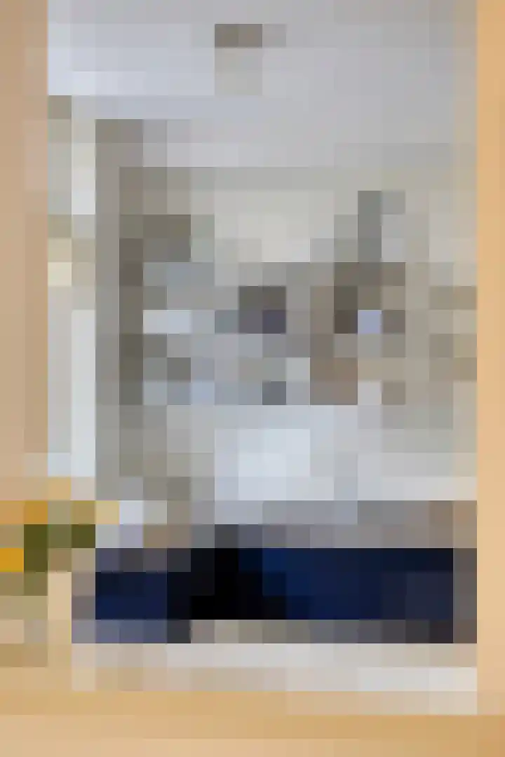 Pauwlaan 22 Eindhoven thumbnail 19