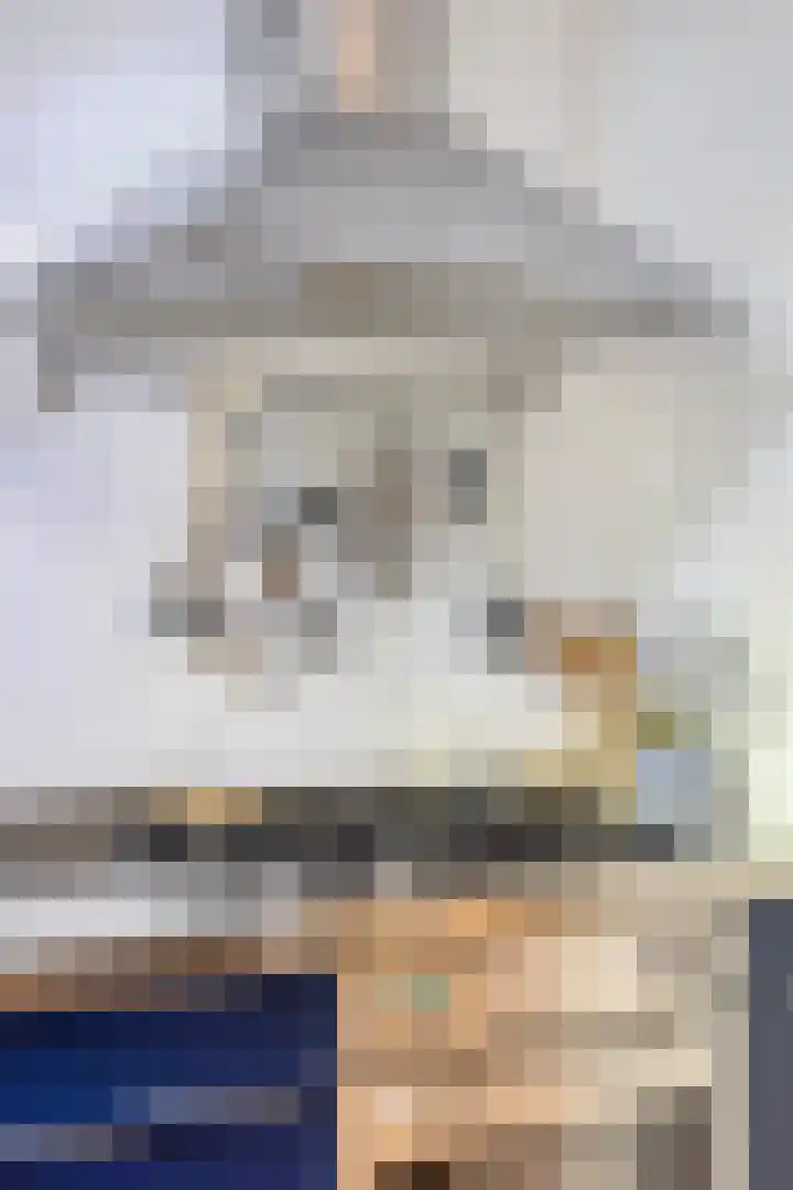 Pauwlaan 22 Eindhoven thumbnail 22