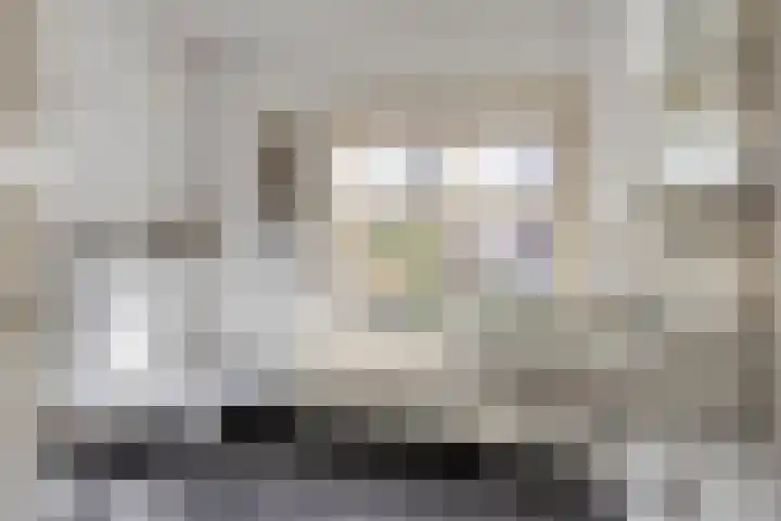 Pauwlaan 22 Eindhoven thumbnail 23