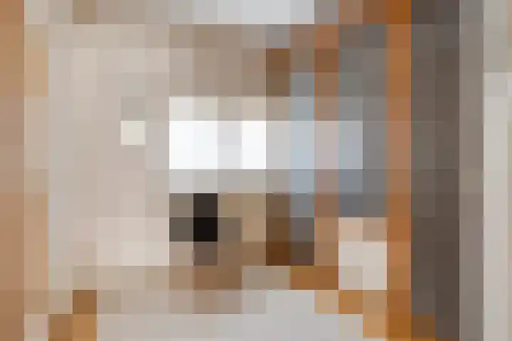 Pauwlaan 22 Eindhoven thumbnail 26