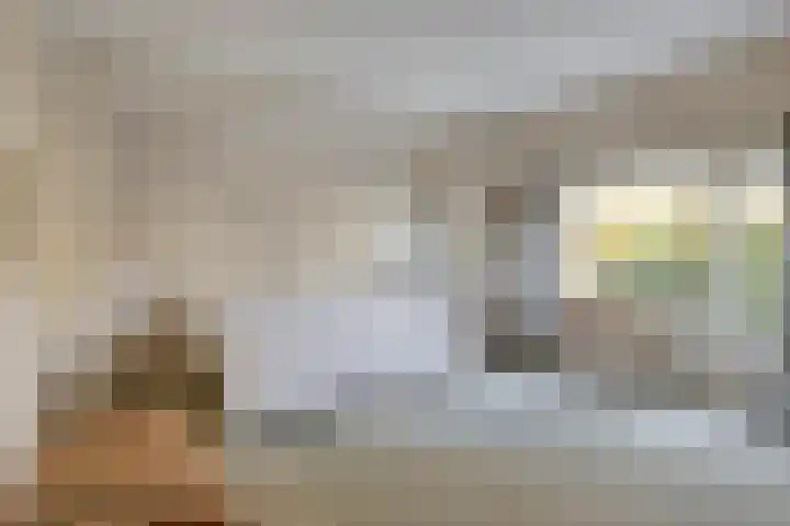 Pauwlaan 22 Eindhoven thumbnail 27