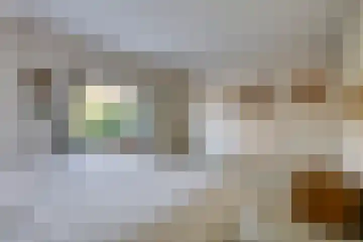 Pauwlaan 22 Eindhoven thumbnail 28