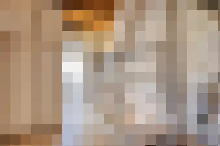 Pauwlaan 22 Eindhoven thumbnail 30