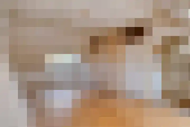 Pauwlaan 22 Eindhoven thumbnail 31