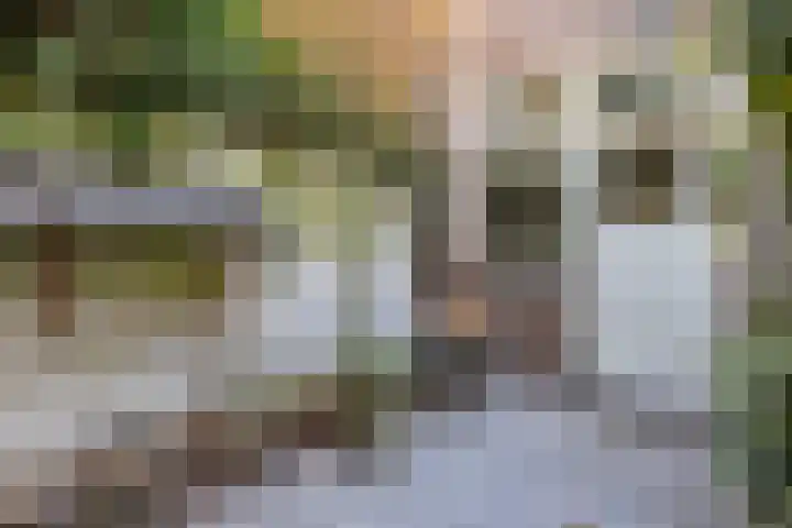 Pauwlaan 22 Eindhoven thumbnail 33