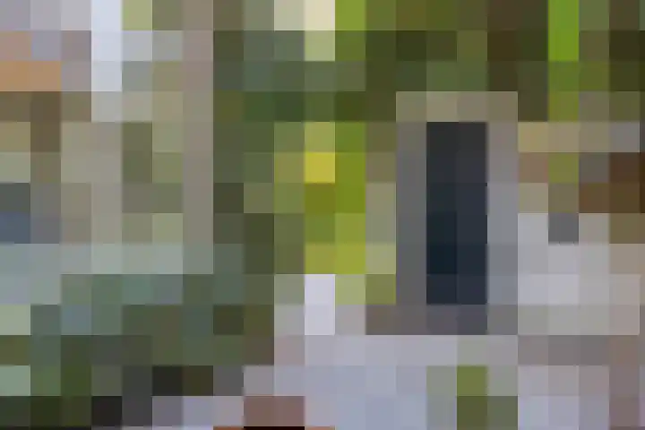 Pauwlaan 22 Eindhoven thumbnail 34