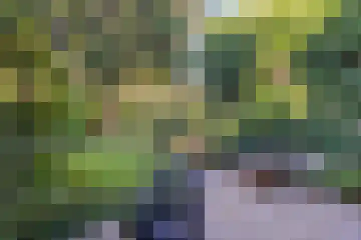 Pauwlaan 22 Eindhoven thumbnail 35