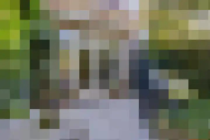 Pauwlaan 22 Eindhoven thumbnail 36