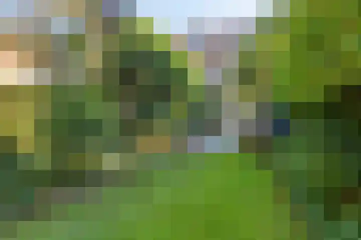 Pauwlaan 22 Eindhoven thumbnail 37