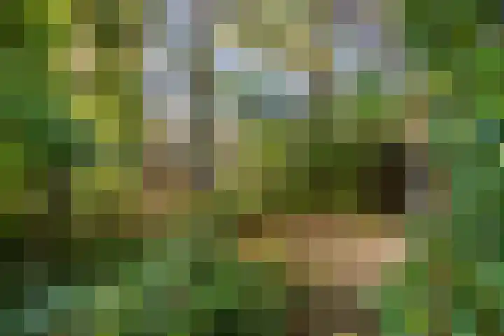 Pauwlaan 22 Eindhoven thumbnail 39
