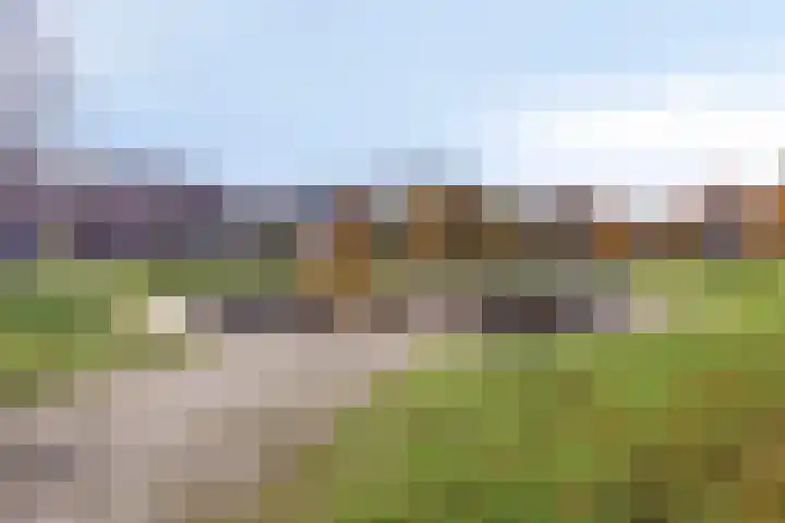 Pauwlaan 22 Eindhoven thumbnail 40