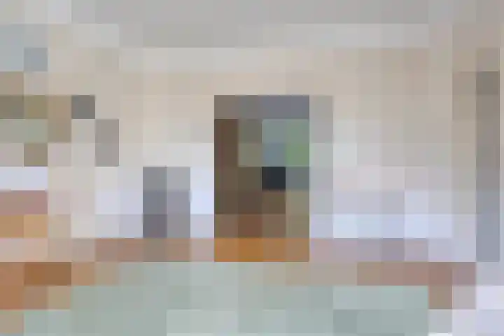 Pauwlaan 22 Eindhoven thumbnail 9