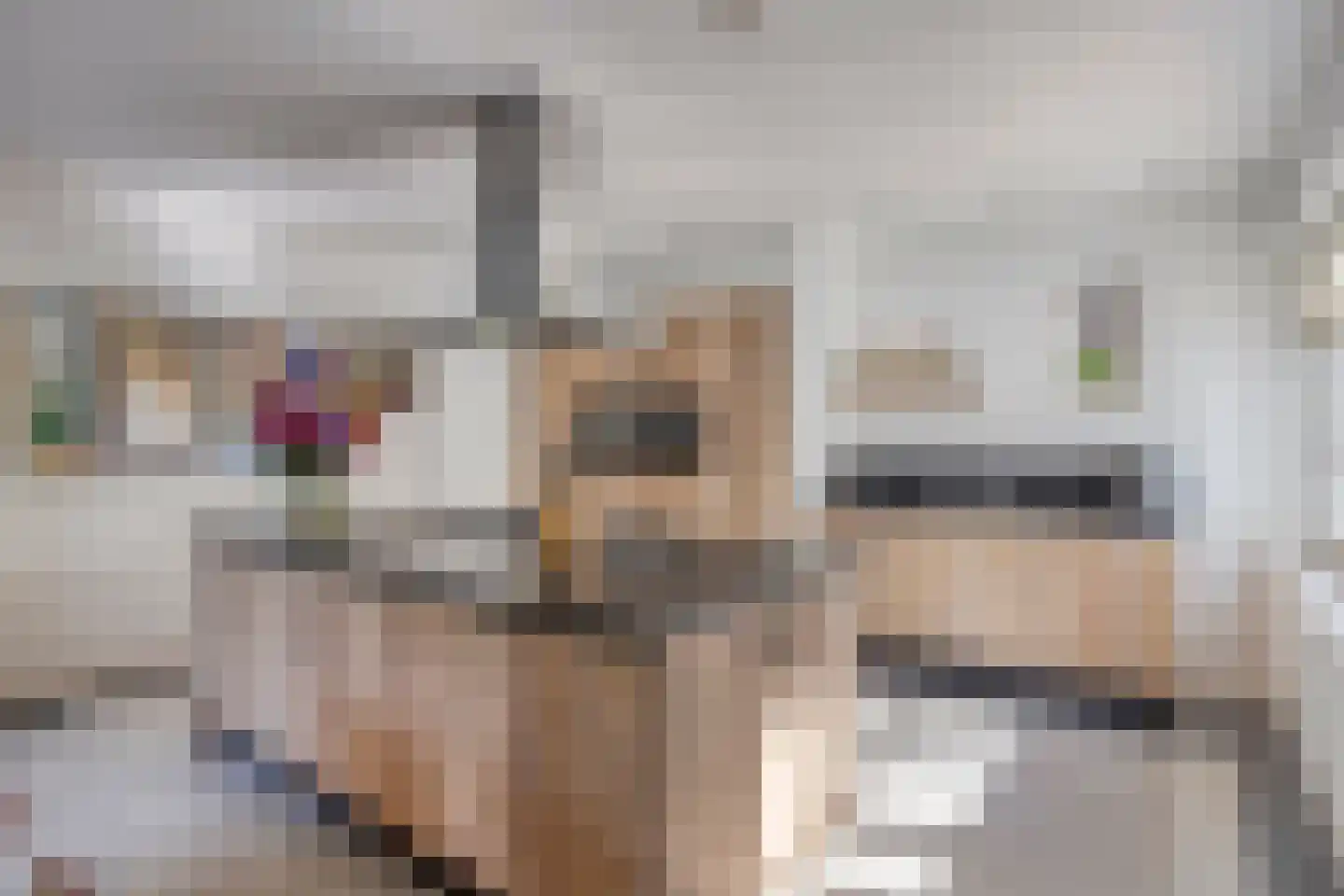 Pauwlaan 6 Eindhoven thumbnail 15