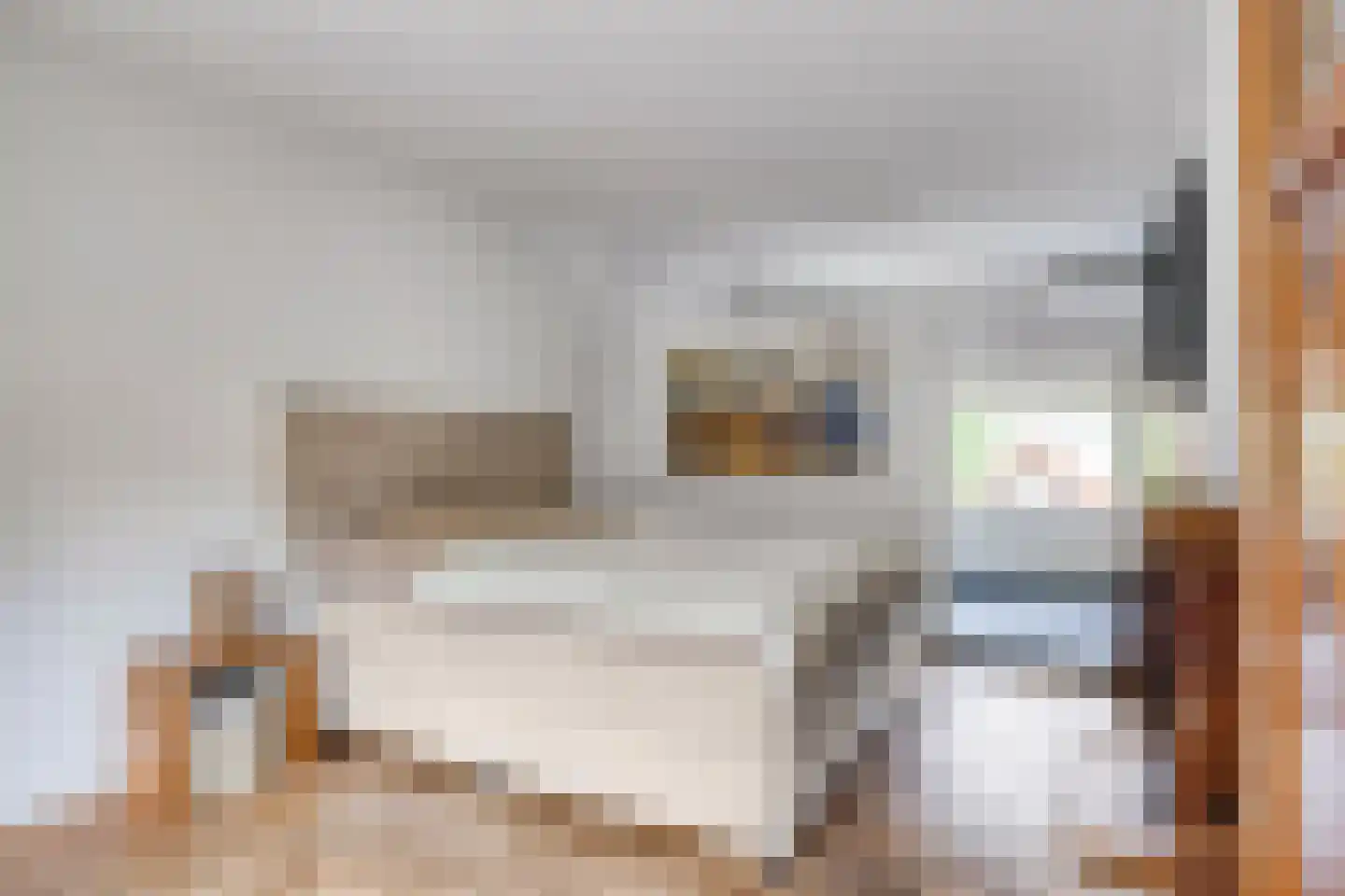Pauwlaan 6 Eindhoven thumbnail 25