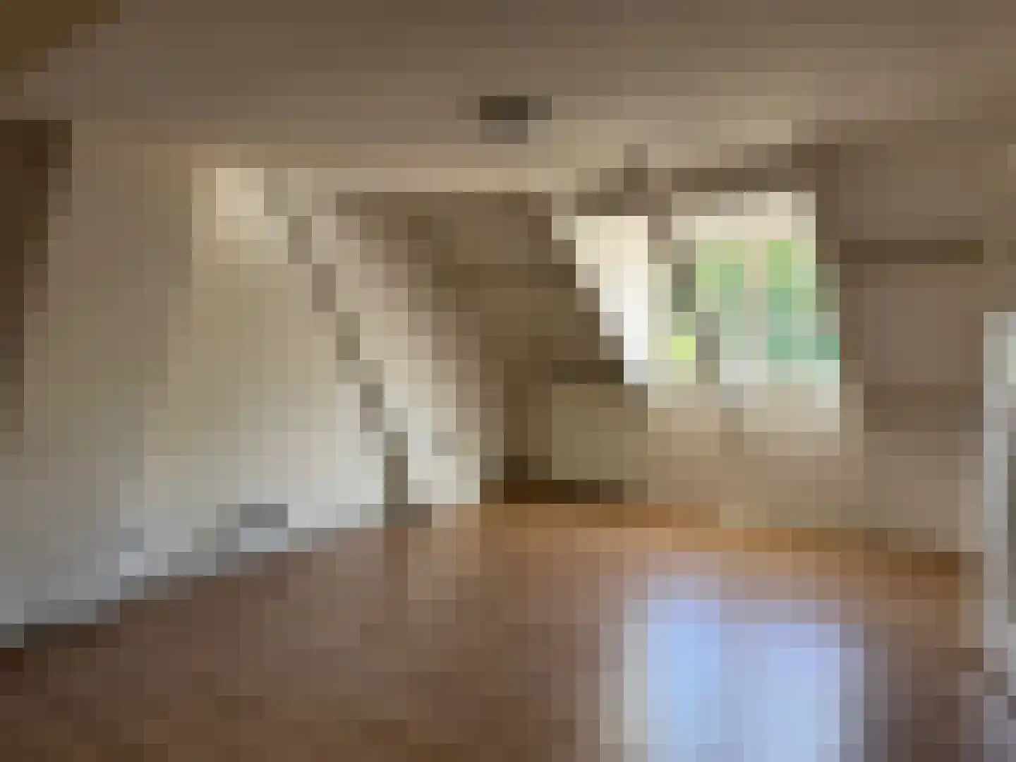 Pauwlaan 6 Eindhoven thumbnail 33