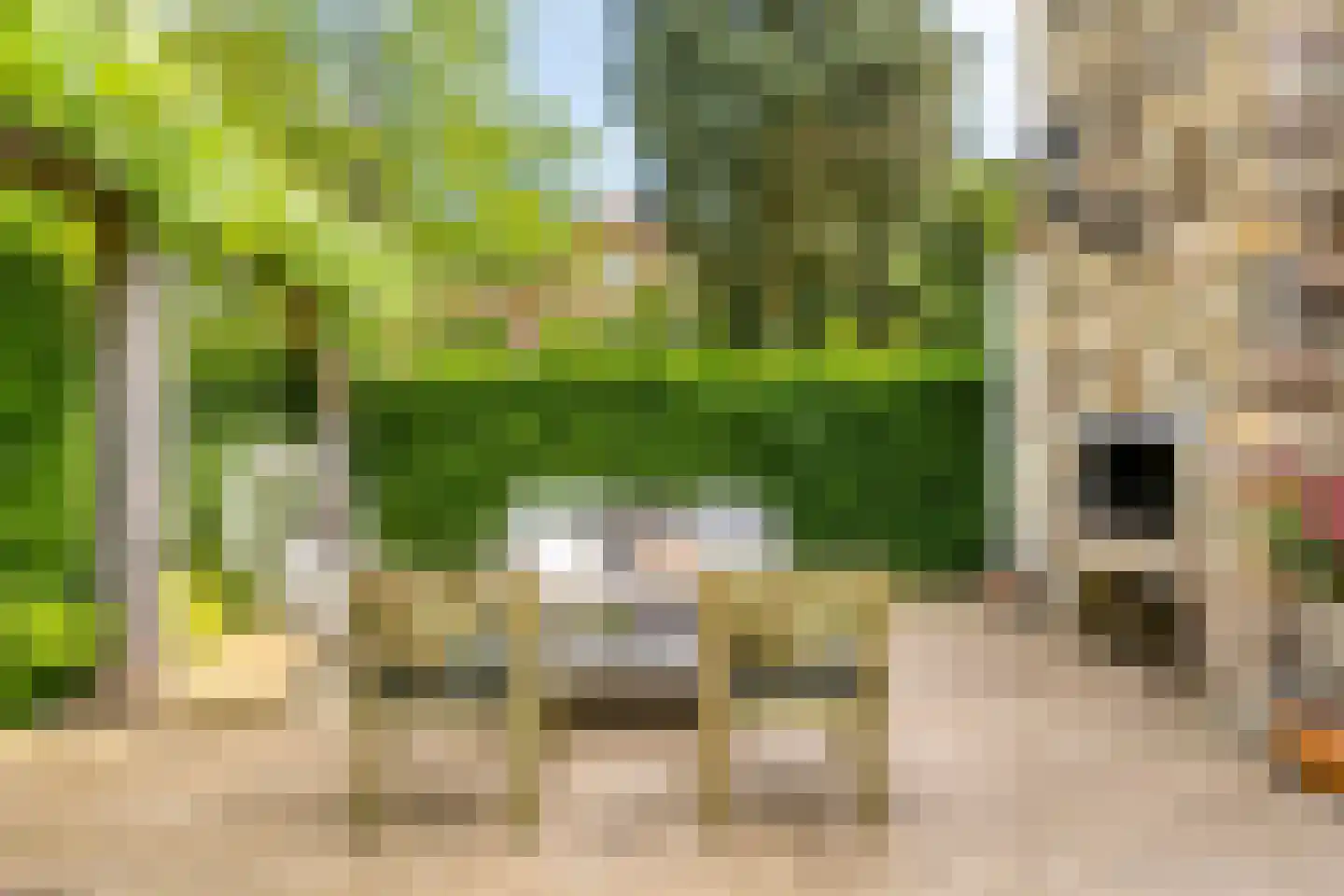 Pauwlaan 6 Eindhoven thumbnail 35