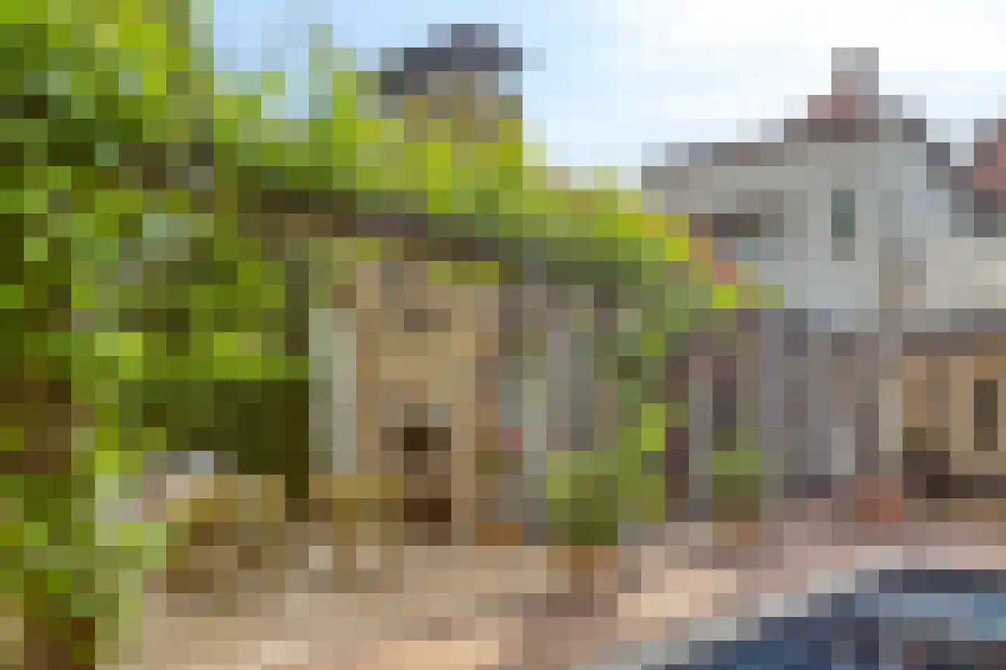 Pauwlaan 6 Eindhoven thumbnail 38