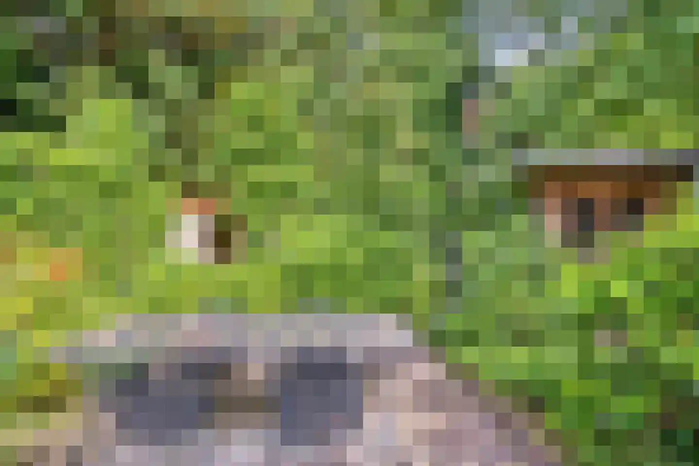 Pauwlaan 6 Eindhoven thumbnail 39