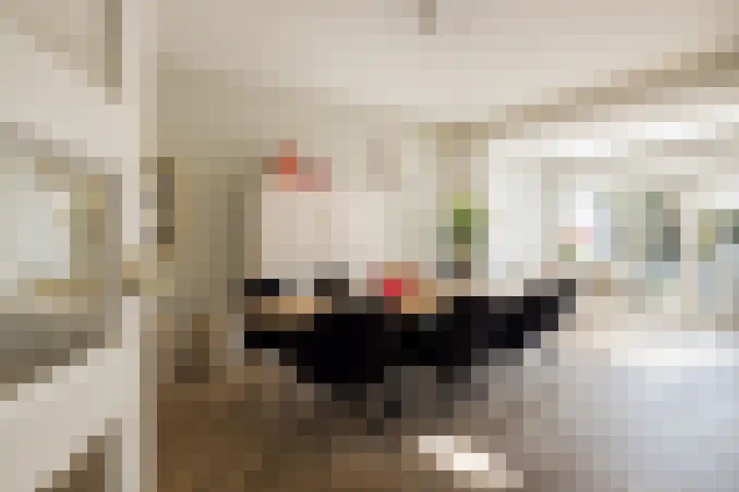 Pauwlaan 9 Eindhoven thumbnail 10