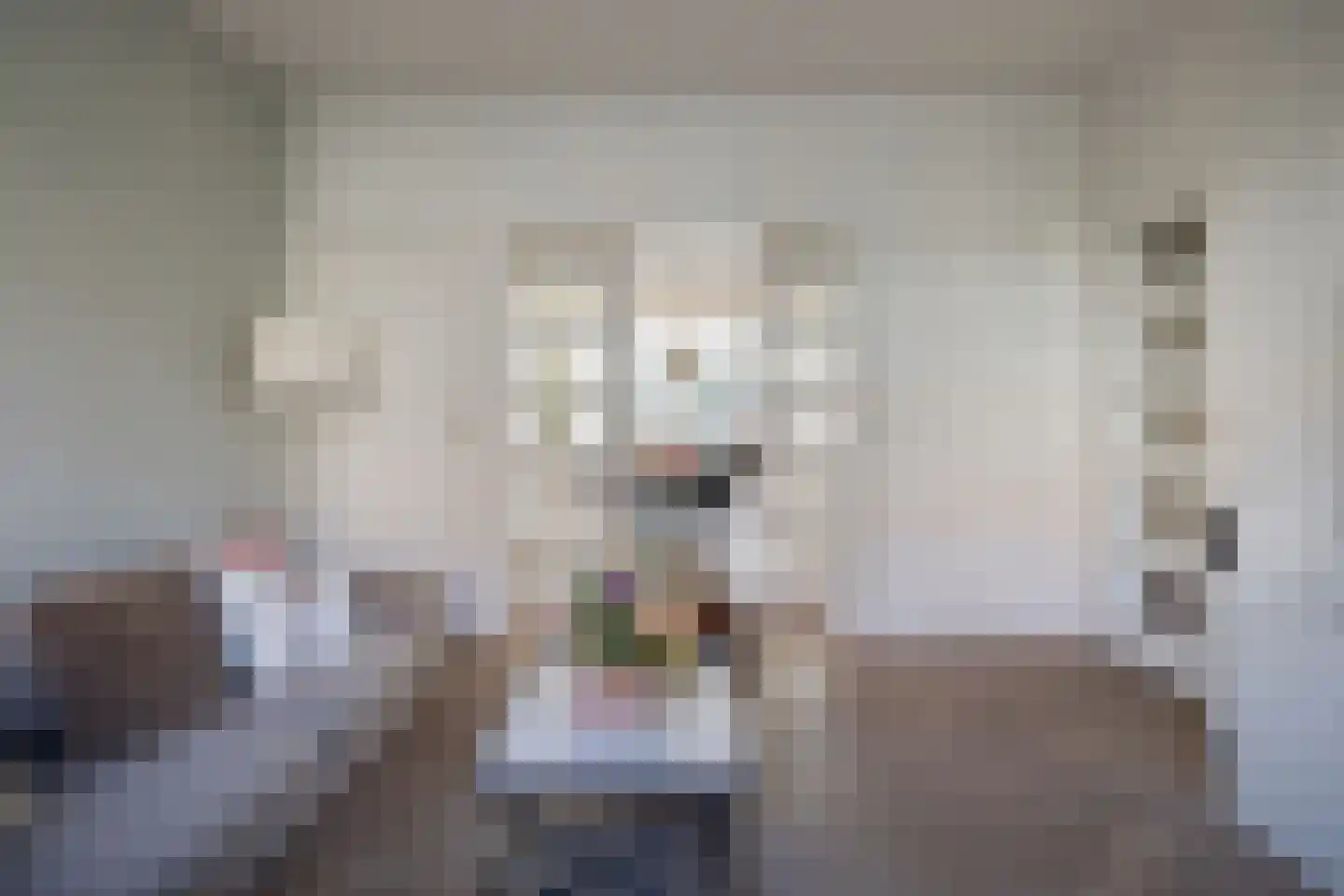 Pauwlaan 9 Eindhoven thumbnail 12