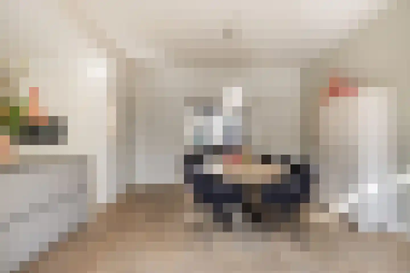 Pauwlaan 9 Eindhoven thumbnail 19