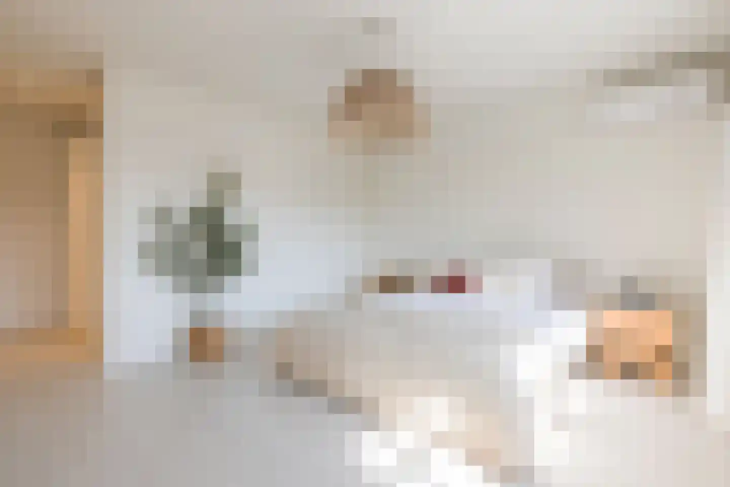 Pauwlaan 9 Eindhoven thumbnail 22