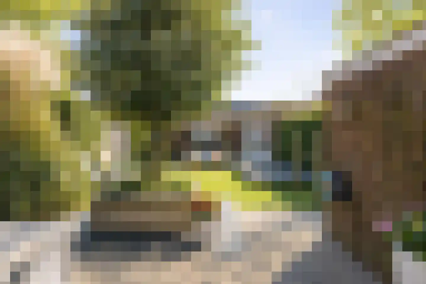 Pauwlaan 9 Eindhoven thumbnail 39