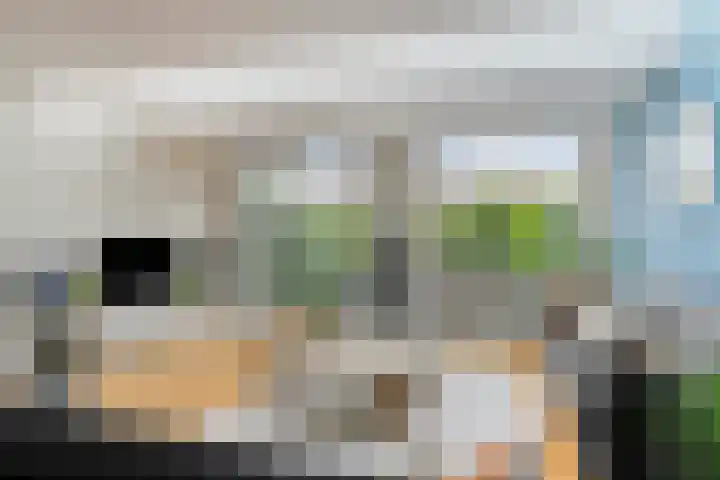 Pauwmolen 28 Delfgauw thumbnail 10