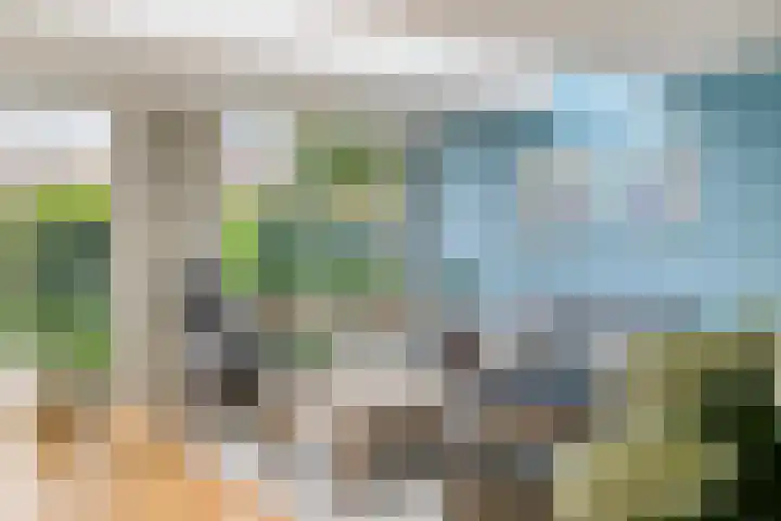 Pauwmolen 28 Delfgauw thumbnail 11