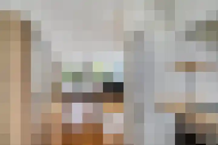 Pauwmolen 28 Delfgauw thumbnail 15