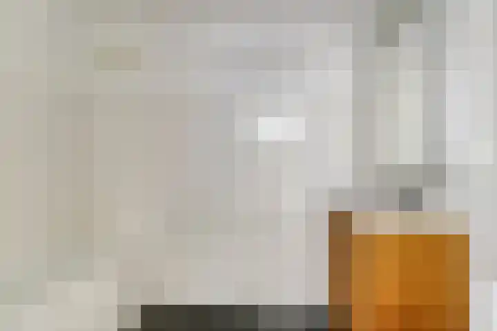 Pauwmolen 28 Delfgauw thumbnail 18