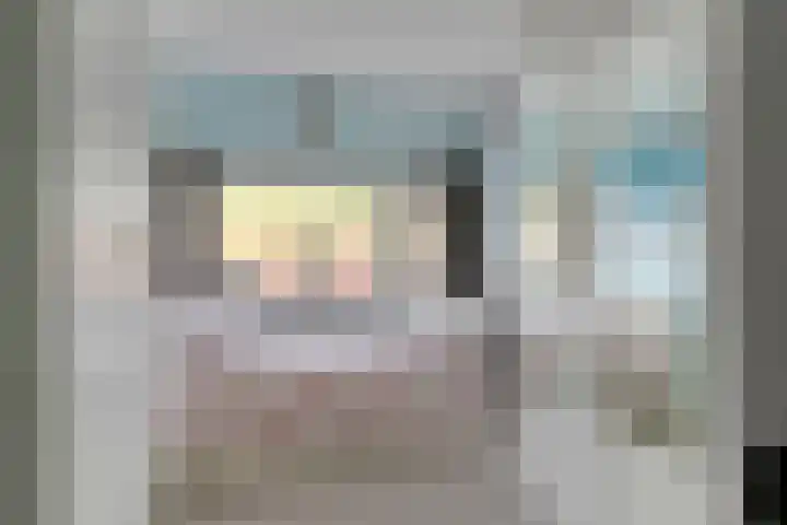 Pauwmolen 28 Delfgauw thumbnail 20