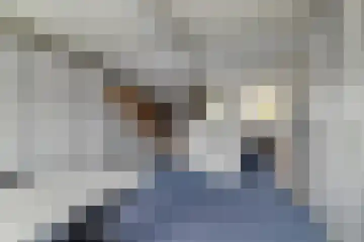 Pauwmolen 28 Delfgauw thumbnail 25