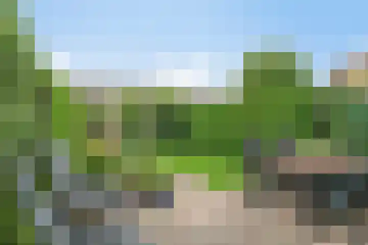 Pauwmolen 28 Delfgauw thumbnail 28