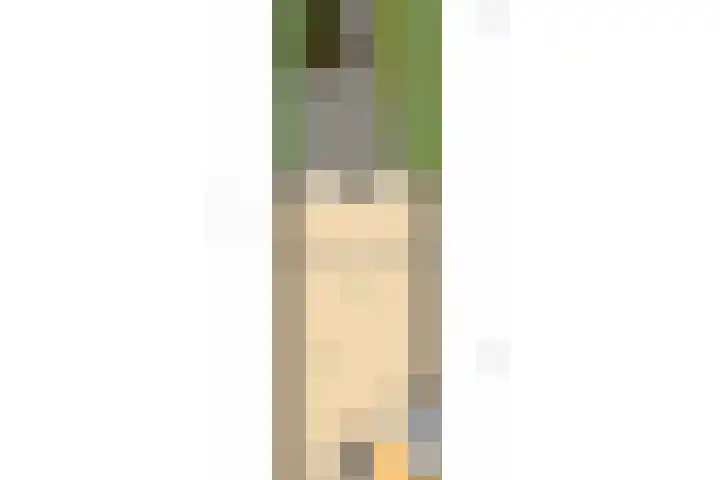 Pauwmolen 28 Delfgauw thumbnail 30