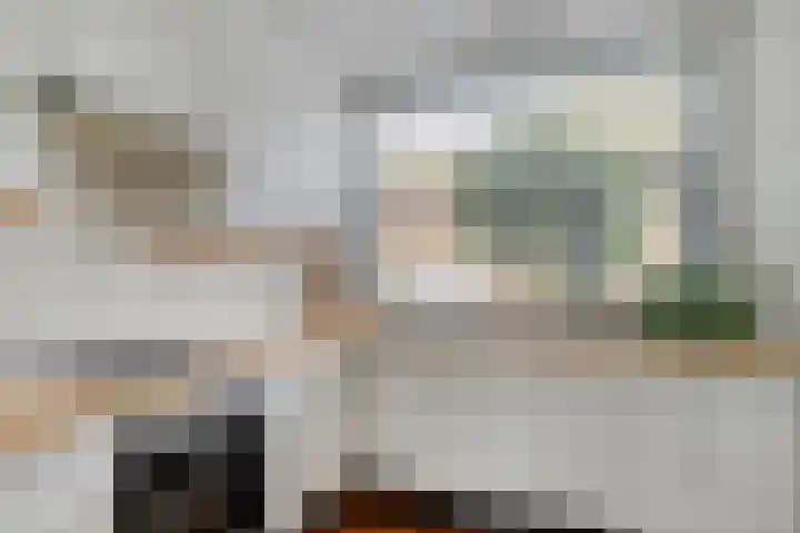 Pauwmolen 28 Delfgauw thumbnail 4