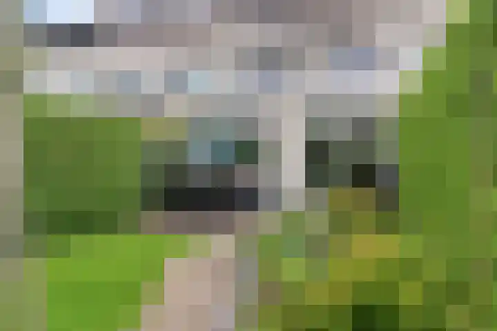 Pauwmolen 28 Delfgauw thumbnail 5
