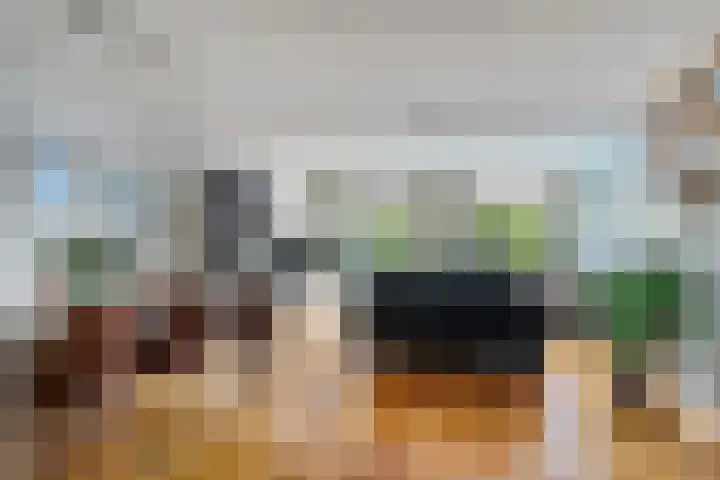 Pauwmolen 28 Delfgauw thumbnail 9