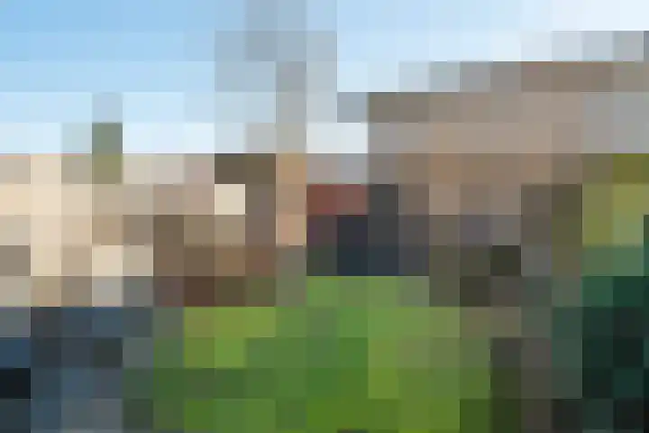 Pauwmolen 48 Delfgauw thumbnail 14