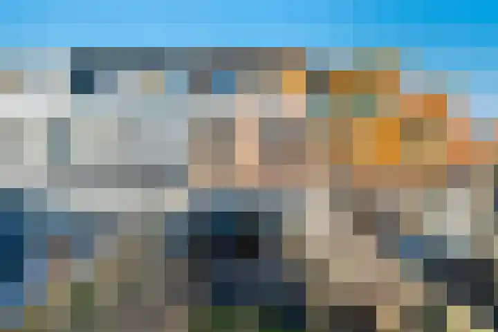 Pauwmolen 48 Delfgauw thumbnail 19