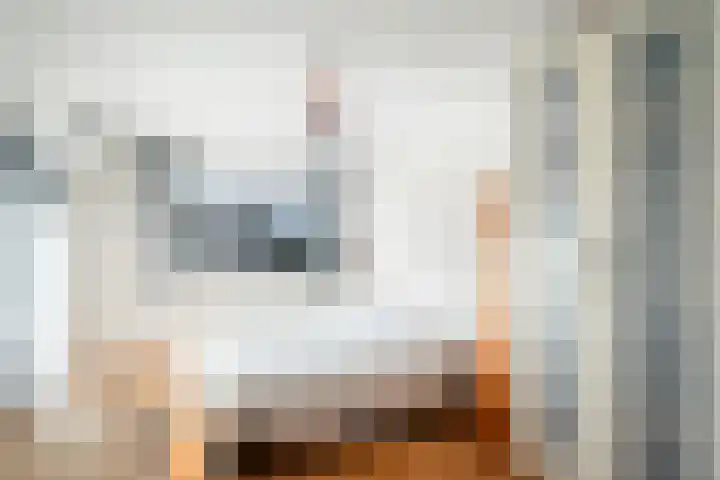 Pauwmolen 48 Delfgauw thumbnail 20