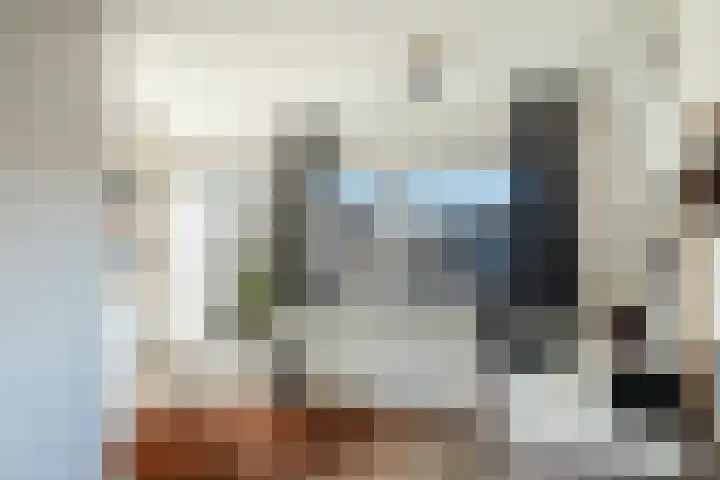 Pauwmolen 48 Delfgauw thumbnail 30
