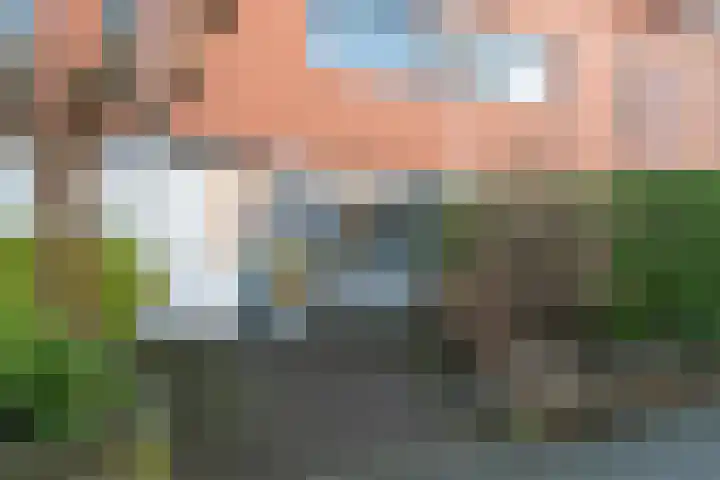 Pauwmolen 48 Delfgauw thumbnail 35