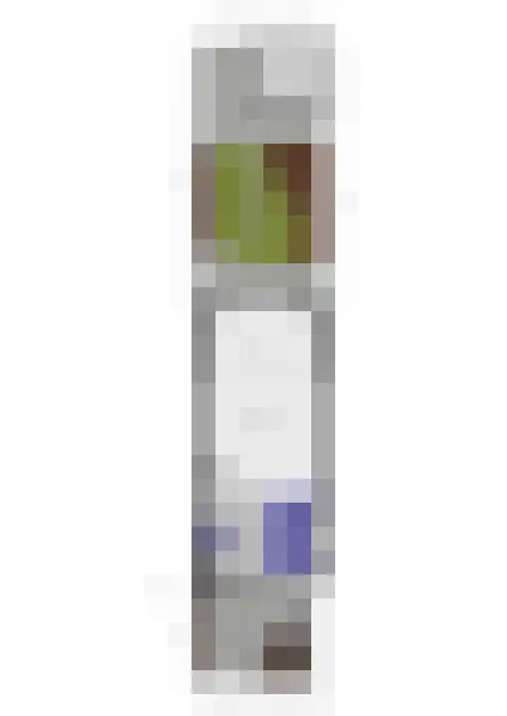 Pauwmolen 48 Delfgauw thumbnail 41